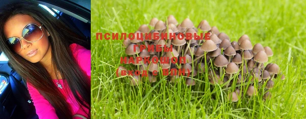 дурь Лабытнанги