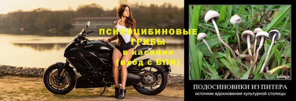 экстази Ладушкин