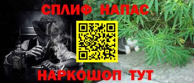 дурь Гатчина