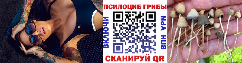 как найти закладки  Калининград  Псилоцибиновые грибы Magic Shrooms 