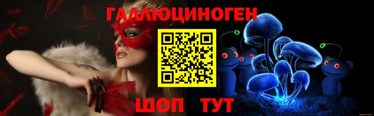 Псилоцибиновые грибы Psilocybe Калининград