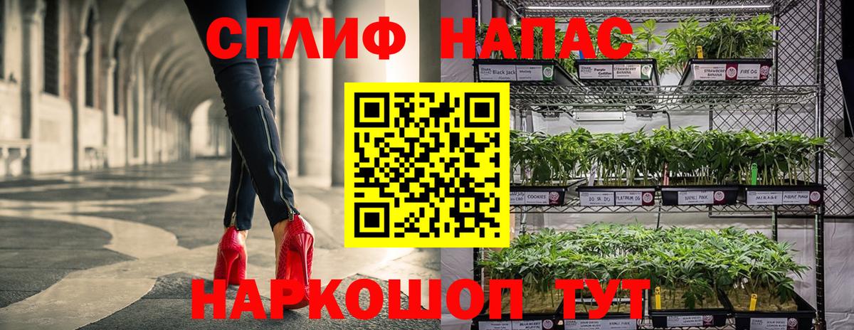 Бошки Шишки планчик Калининград